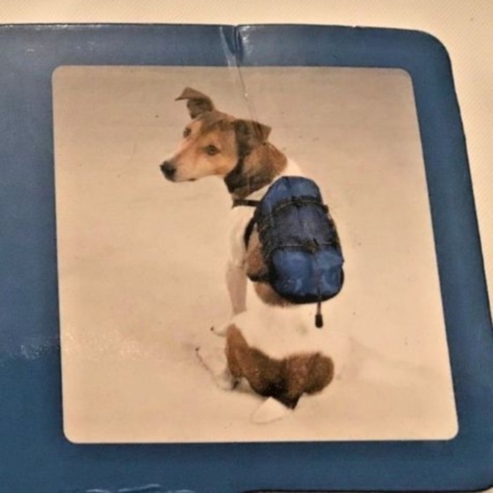 Casual Canine Blue Dog Backpack